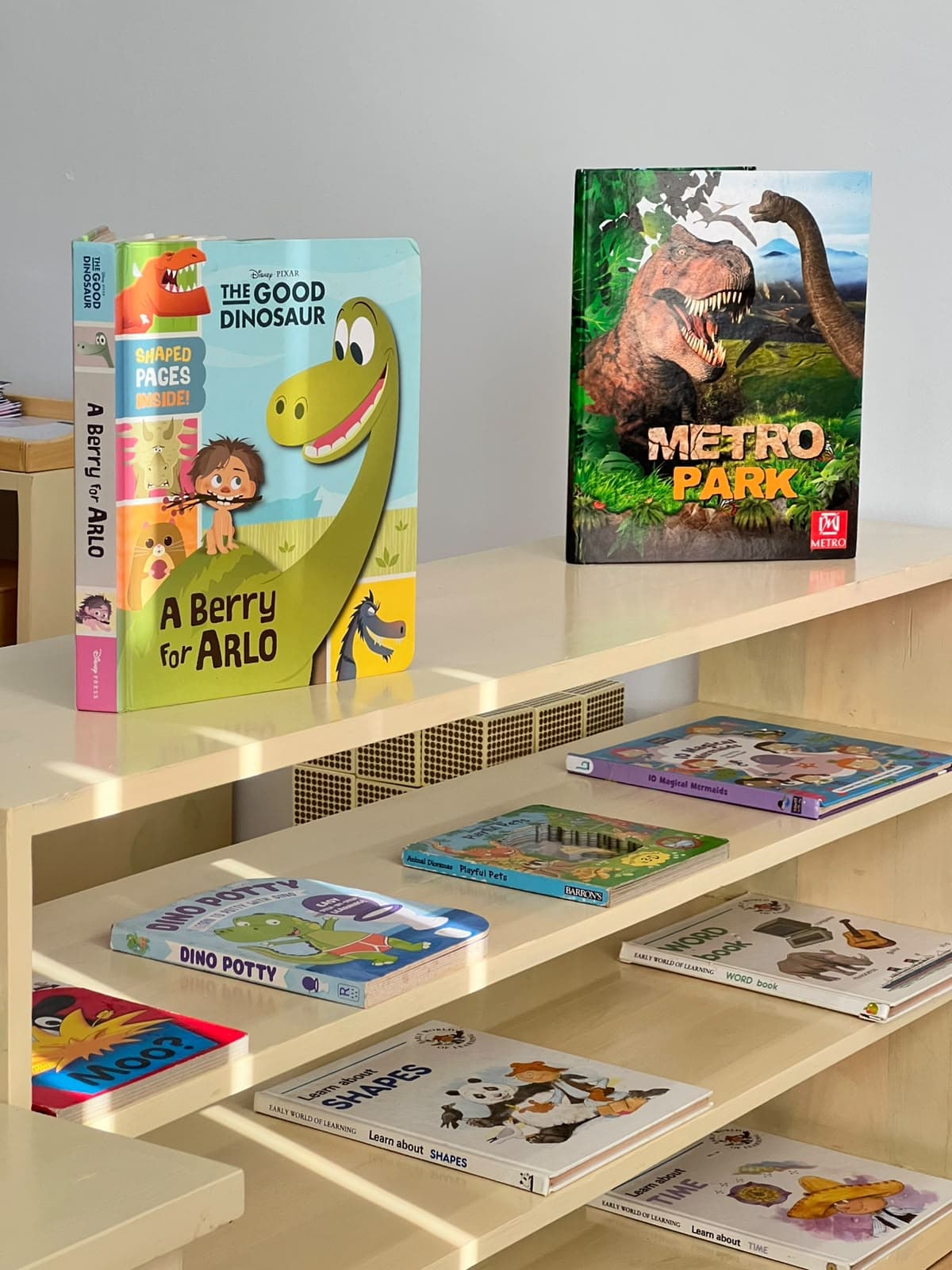 Literacy Support